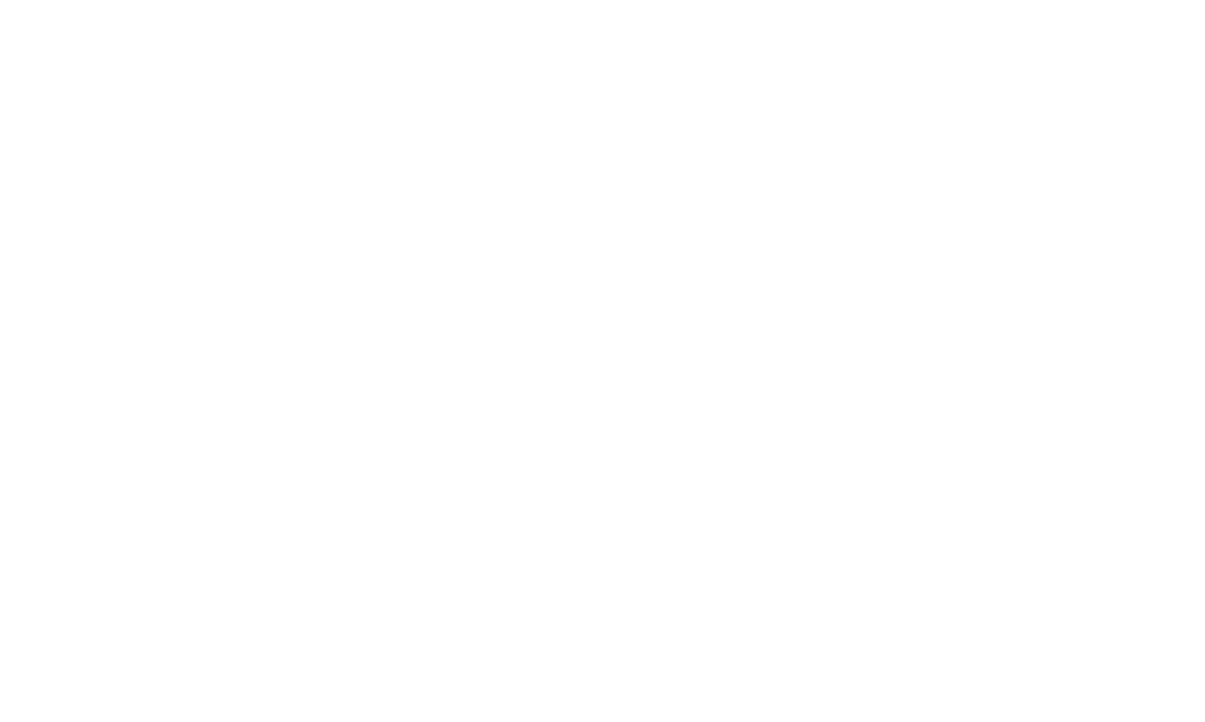 Network Digital Solutions Professional IT Services